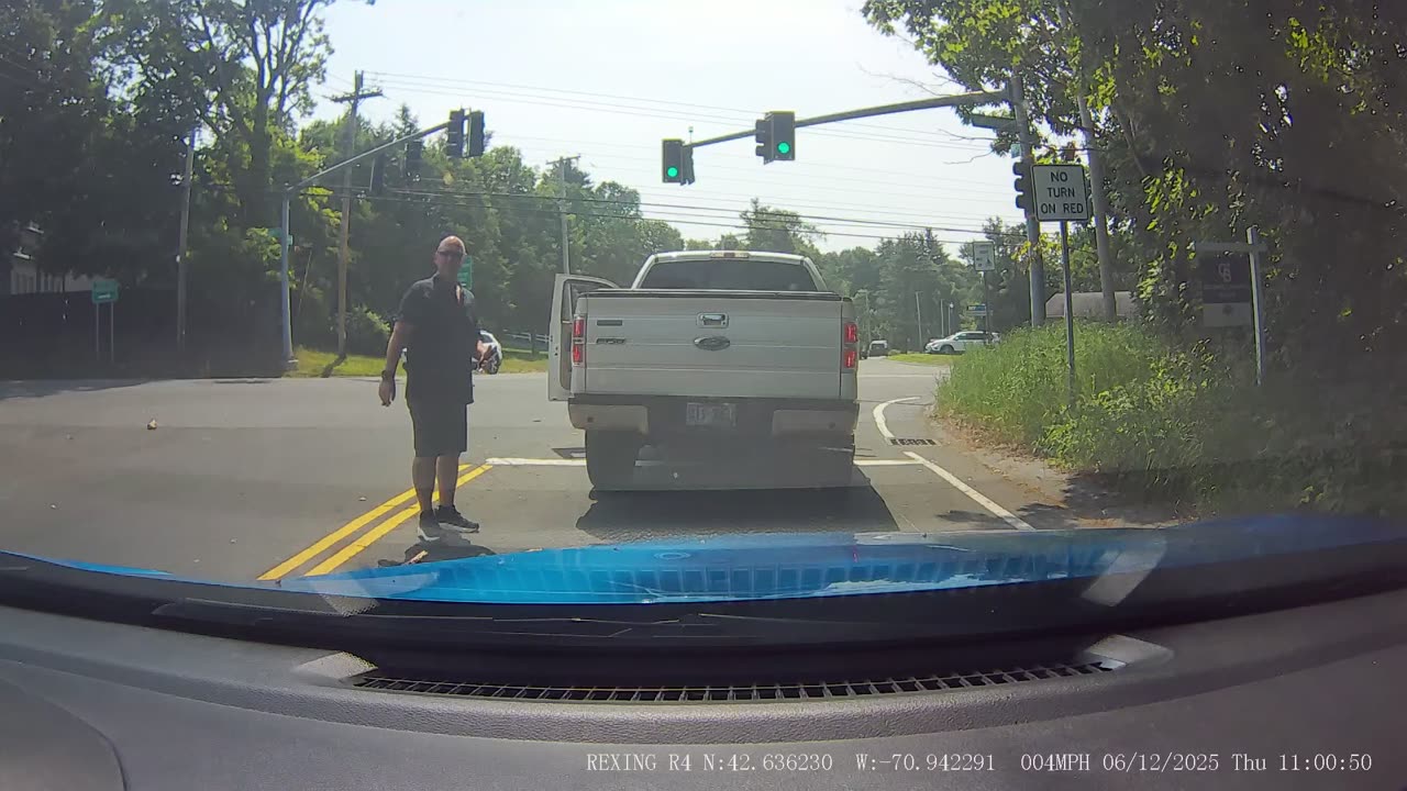 Tree Falling on Driver's Ed Car