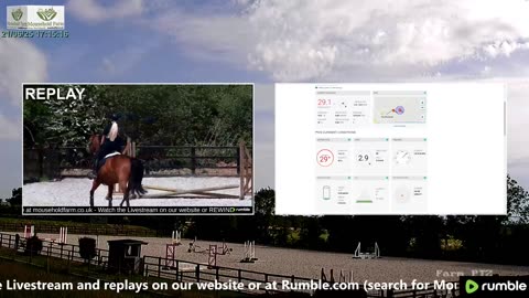 Mousehold Farm All Weather Riding arena
