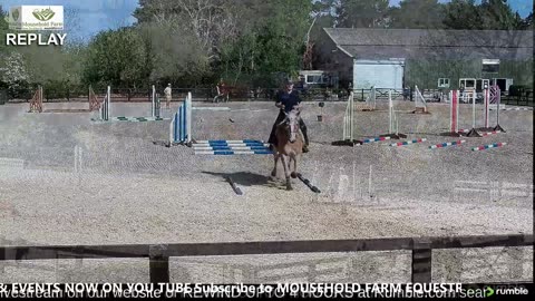 Mousehold Farm All Weather Riding arena