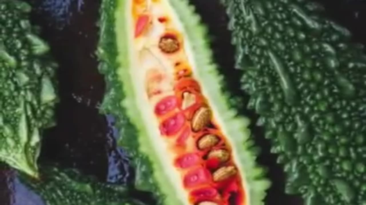 Four amazing benefits of eating bitter gourd