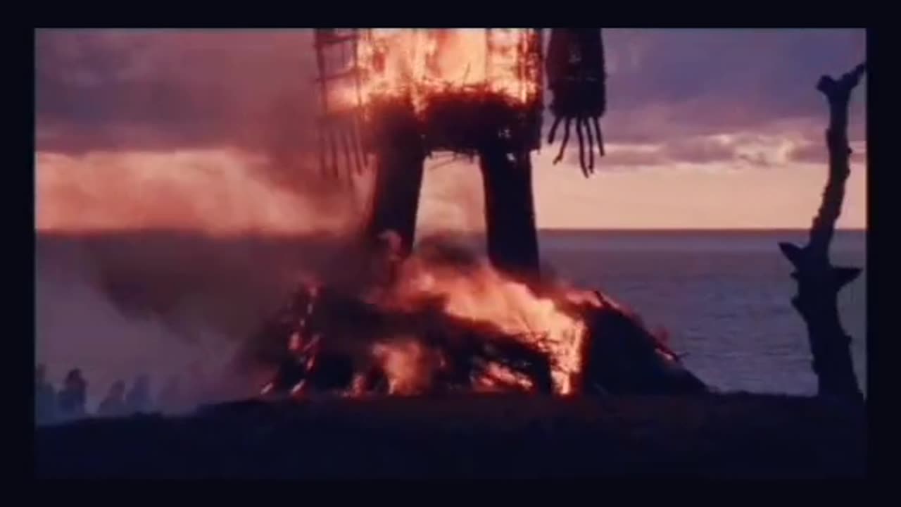 Tim Rifat TikTok Videos