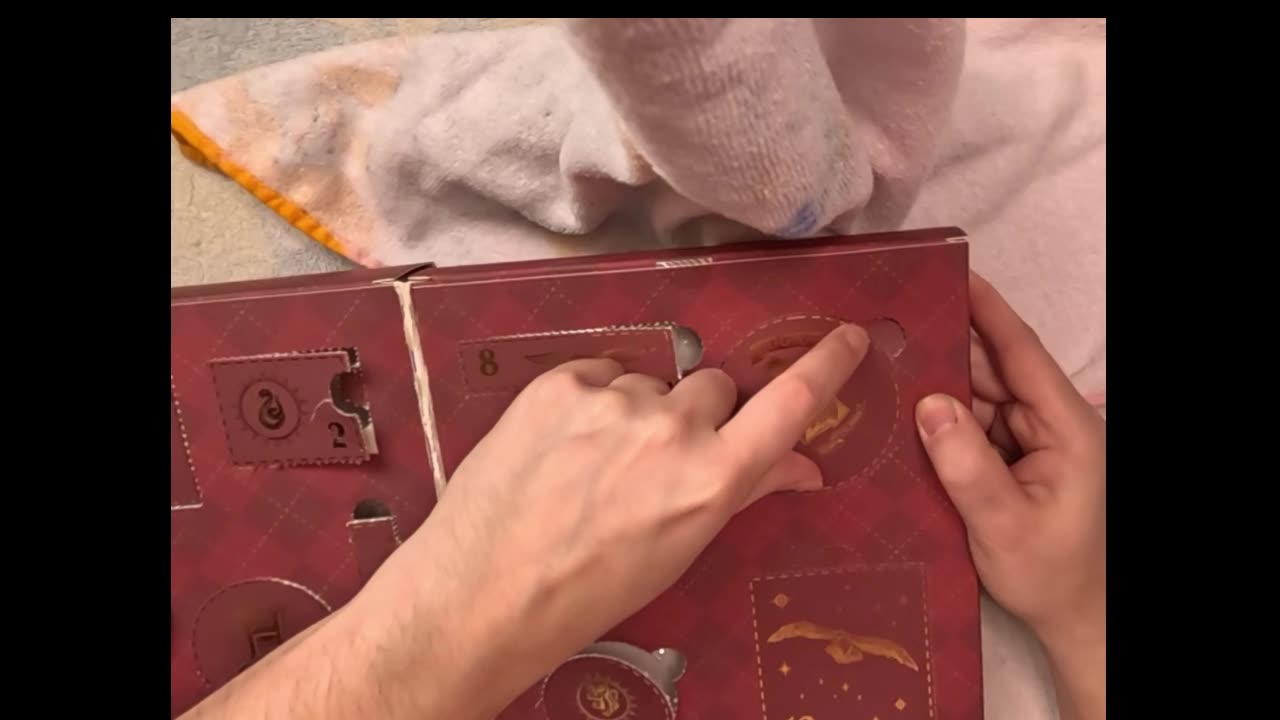 Profusion Cosmetics Harry Potter count down calendar door #11