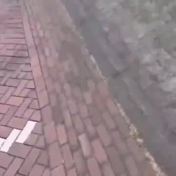 🚨BREAKING NEWS African migrants attacked elderly European man walking his dog.