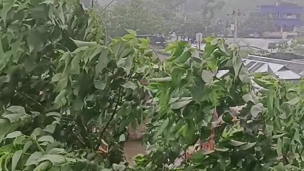 Song