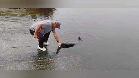 Icw at Myrtle Beach fishing for catfish