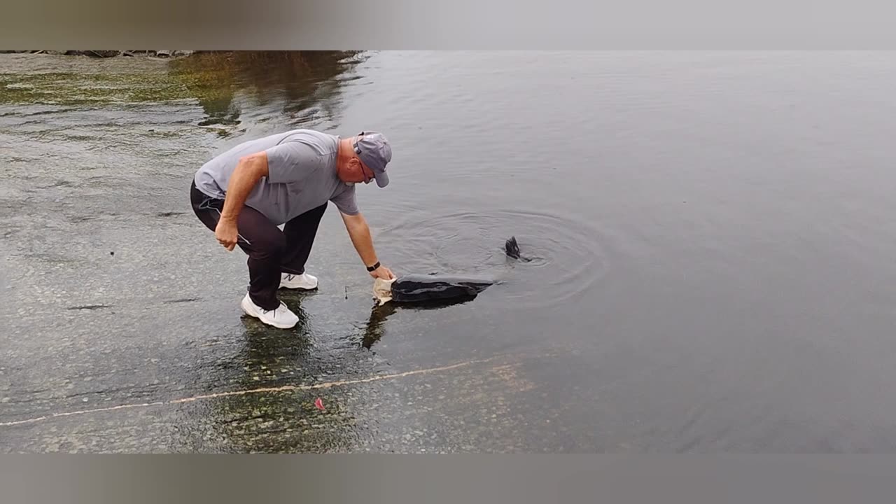 Icw at Myrtle Beach fishing for catfish