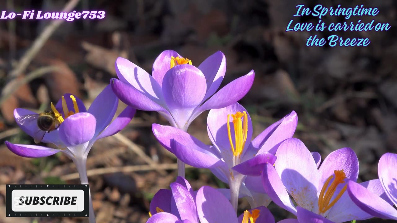 DELETE All Negative Energies from your Soul with Spring Lo-Fi