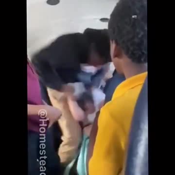 Baboon BLM Bus Bash BRUH