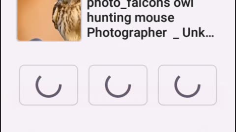 best video downloader for instagram and facebook