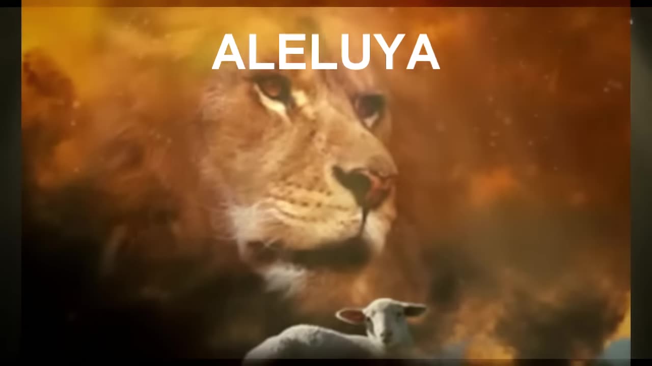 CORDERO Y LEON NEW WINE LETRA