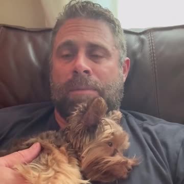 Dogs and how they act when you step outside