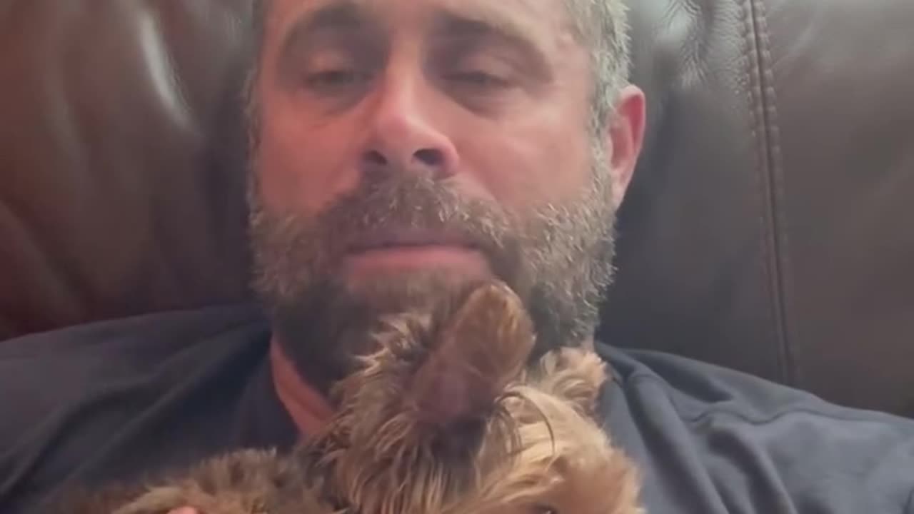 Dogs and how they act when you step outside
