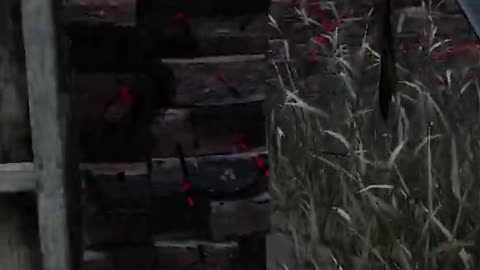 FIB Depot Hardware Locations - Grand Theft Auto V