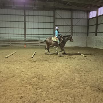 Kyla trotting over Poles