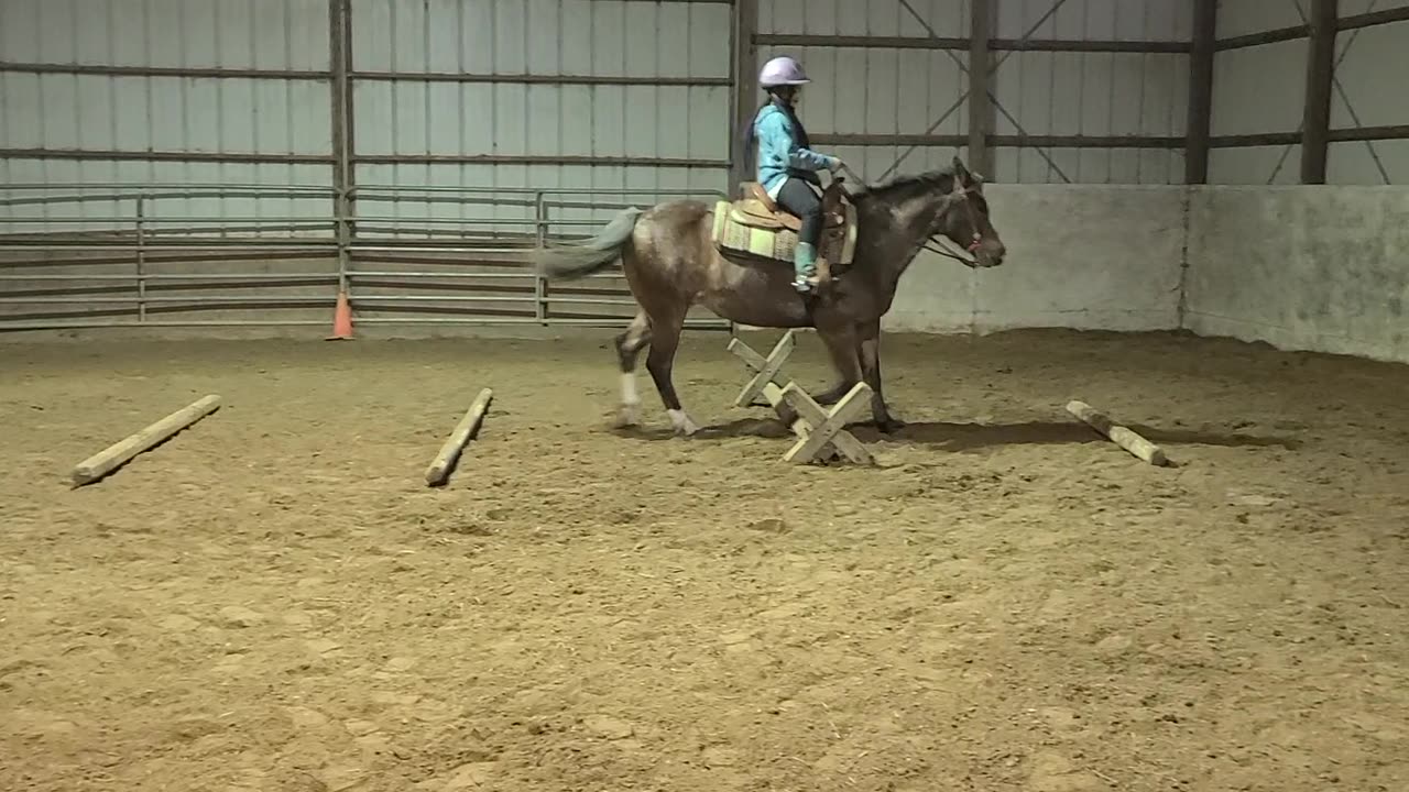 Kyla trotting over Poles