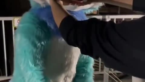 .