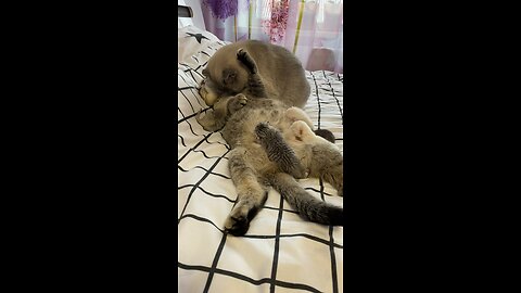 That love