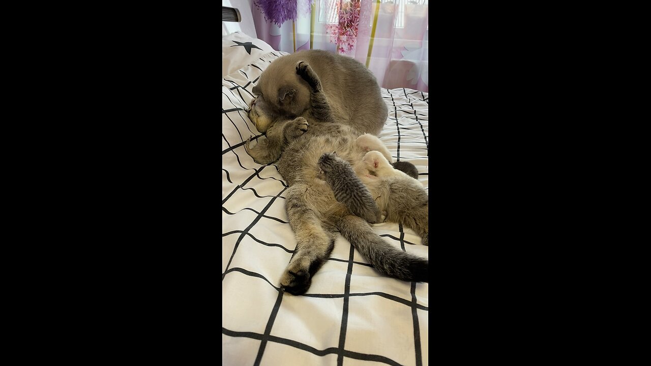 That love