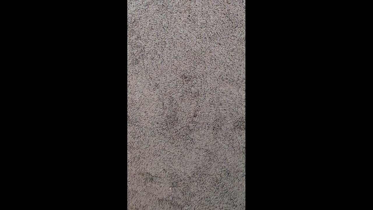 test 1