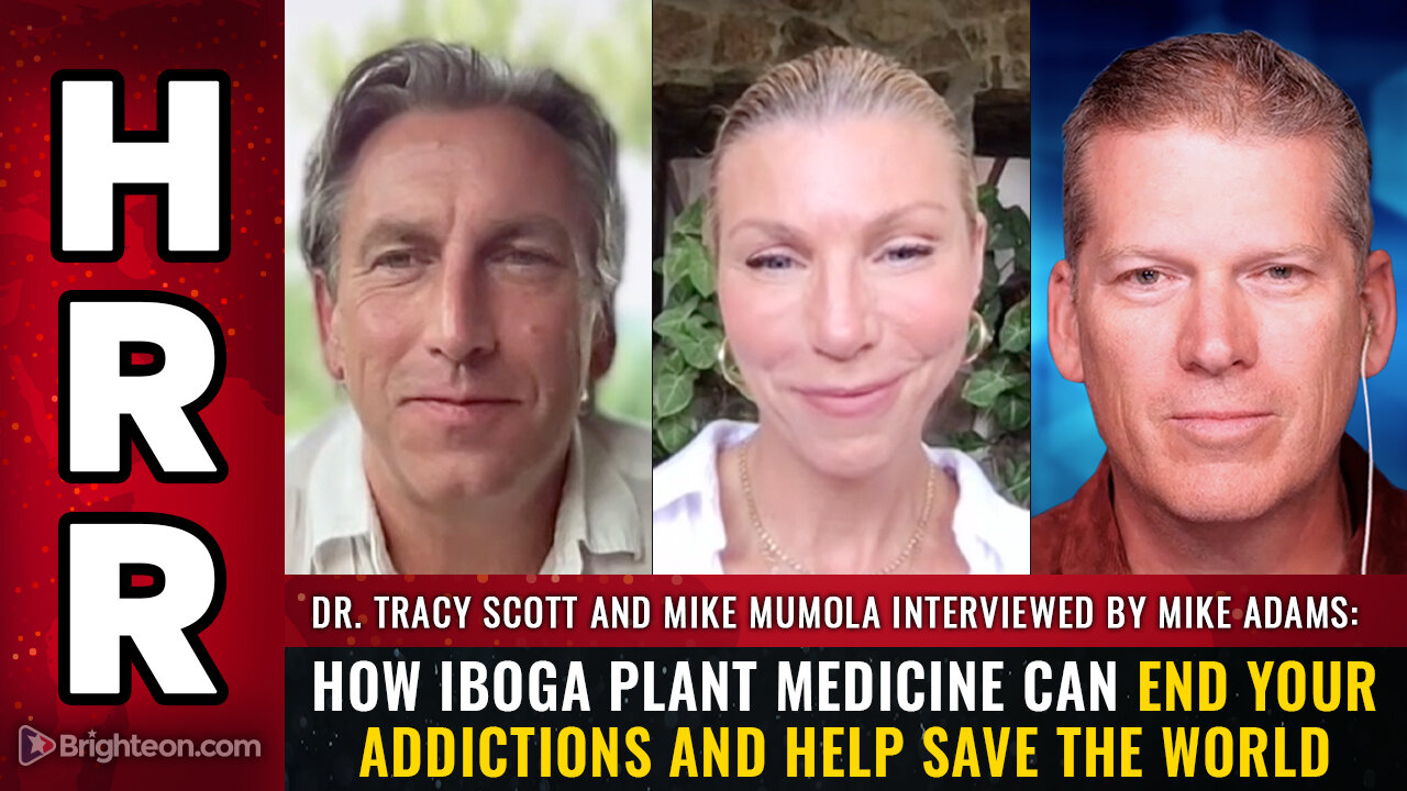 How Iboga plant medicine can end your addictions and help save the world...