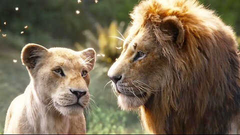 The Lion King