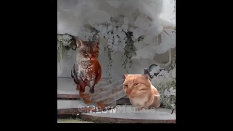 sister love story chapter 1 part 9 #meme #viral #foryou
