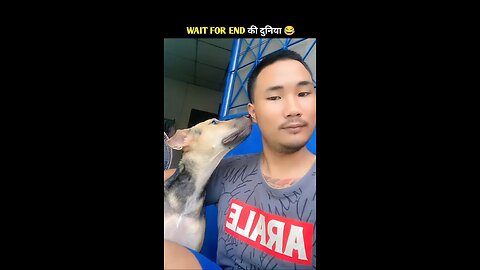 Funnest and shocking 😳humans vs animals interactions ever
