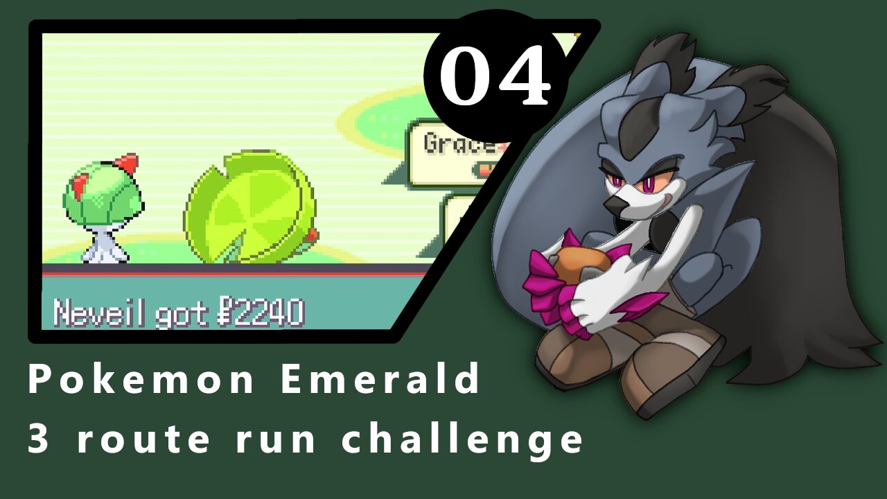 Pokemon emerald 3 route run part 4