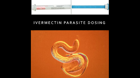 Ivermectin Paste Parasite Dosing