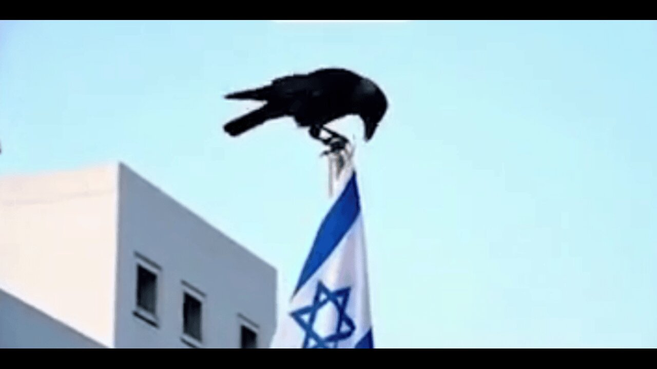 Dangerous Times A head