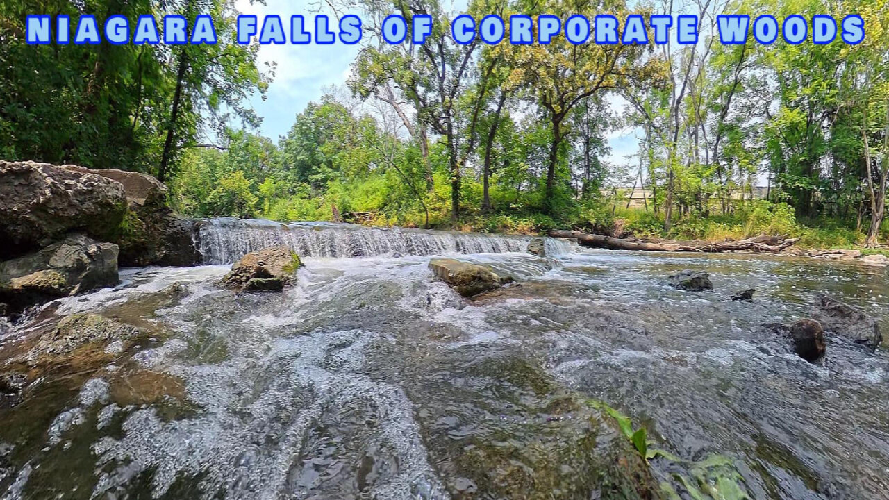 Niagara Falls Of Corporate Woods