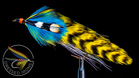 Tying the Gee Whiz - Dressed Irons