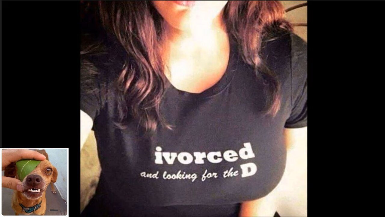 Memes That Will 99.0223% Make You Laugh. (e447)