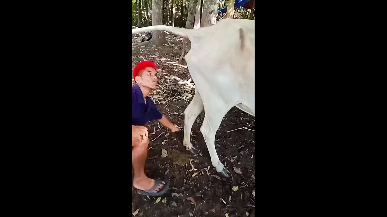 When Faith Meets Filth. No Dignity Left