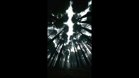 gift 02.