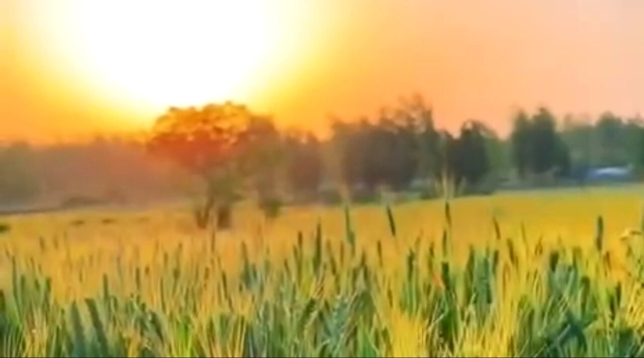 THE RICH YOUNG RULER & DAILY DEVOTIONAL ❤️