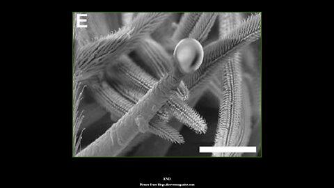 Spiderwebs (Part#3) "Microscopic Webs"