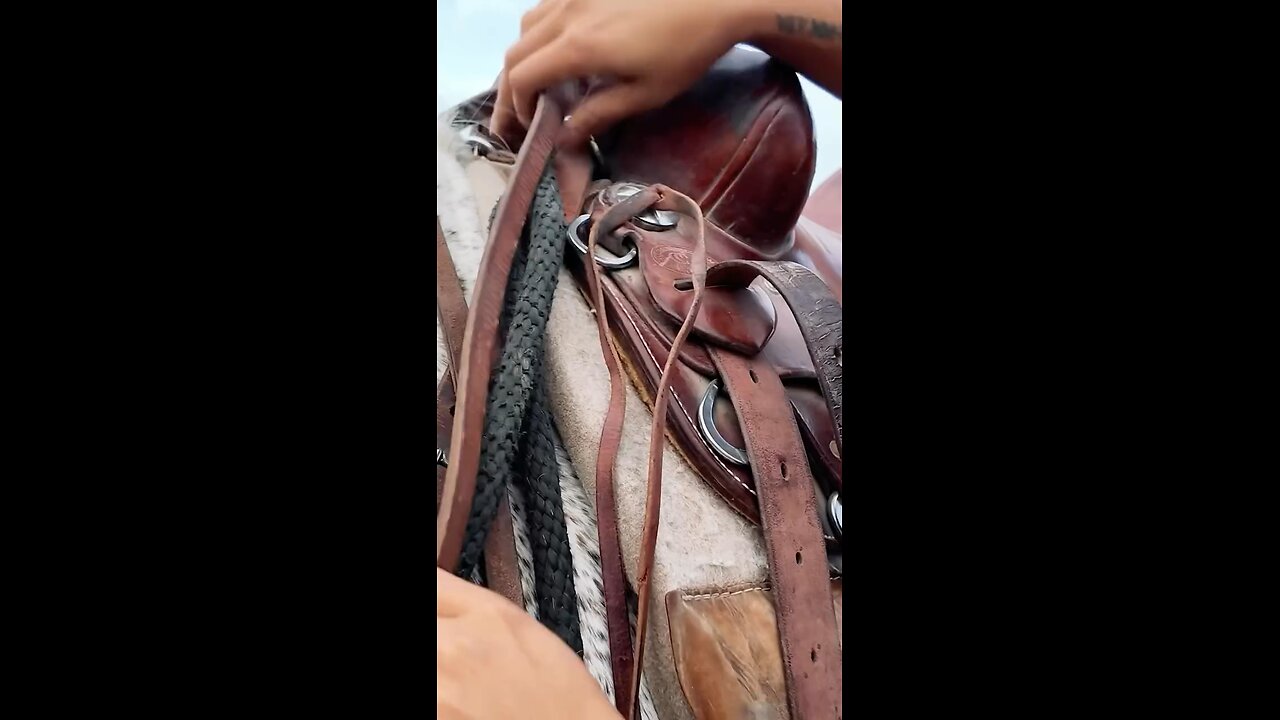 Mounted border patrol