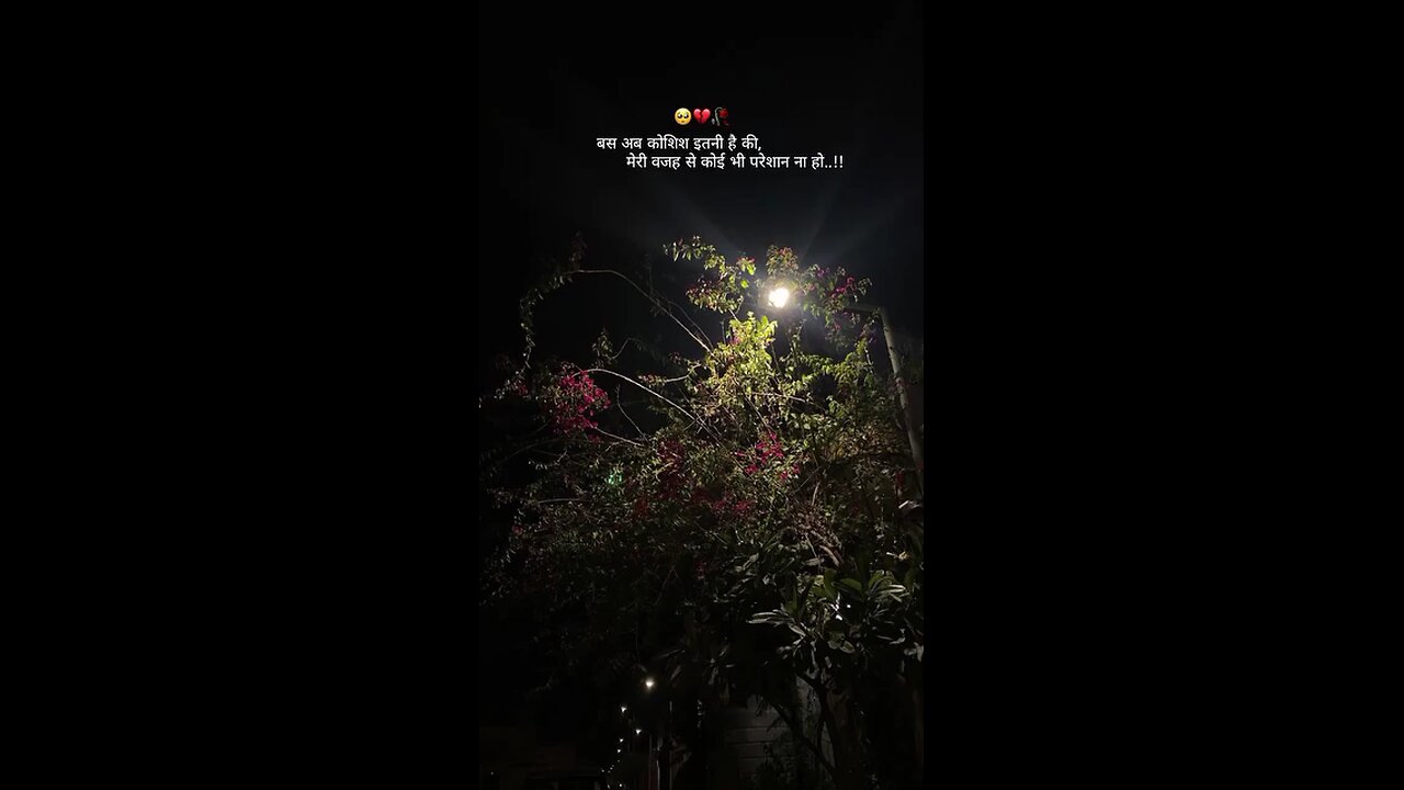 #shayari