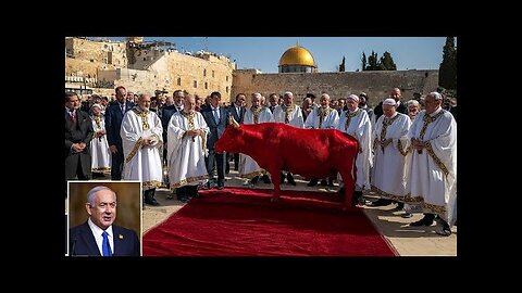 THIRD TEMPLE UPDATE: Perfect Red Heifer Approved? First Stone To Be Laid Soon?
