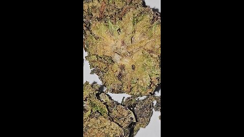 STR8 Fire Sunset Sherbet 🌇