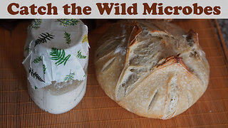 How to Make Sourdough Starter at Home without a Culture