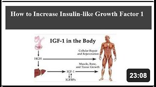 How to Naturally Increase IGF1 - Insulin Like Growth Factor 1