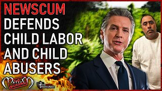 Democrats attacking ICE for catching child predators, and exposing child labor on weed farms.