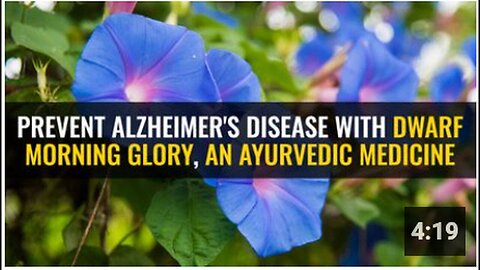 "Dwarf Morning Glory: An Ayurvedic Medicine for Alzheimer's Disease Prevention"