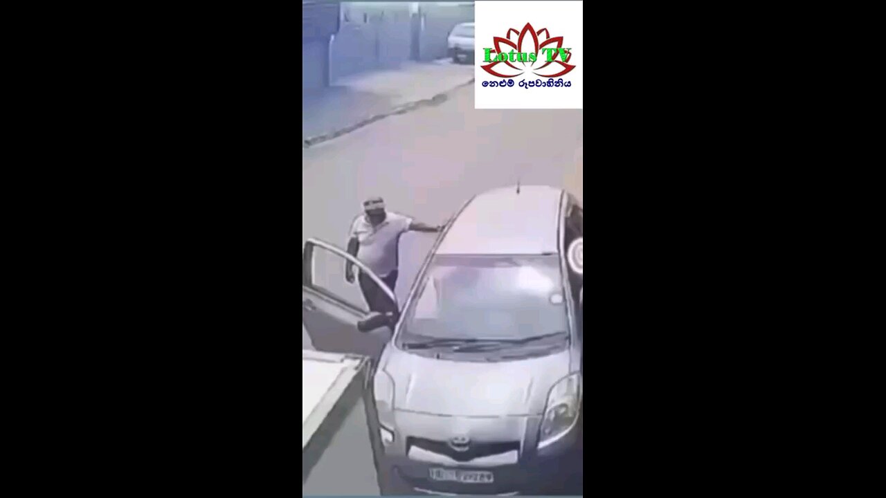 stupid car driver