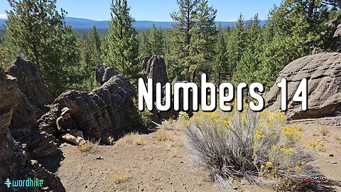 Numbers 14, Bible Reading in Nature, BSB