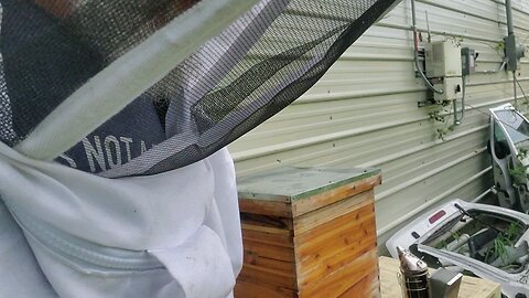 🐝Feedin da NUC/SWARM 9/13🐝