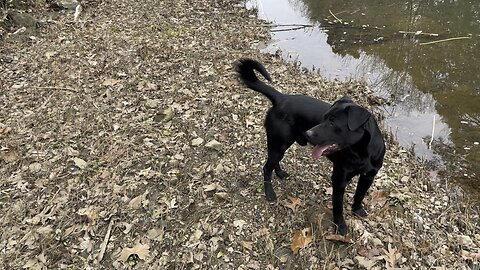 Keeper at Rock Creek