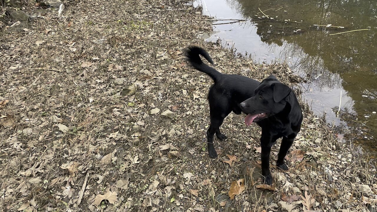 Keeper at Rock Creek